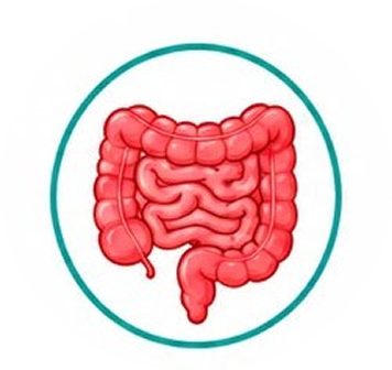 gut_pack