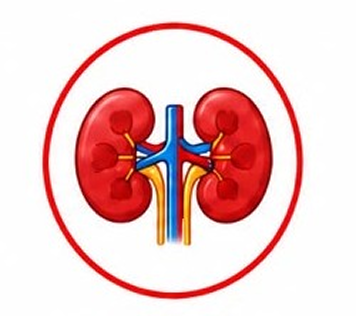 renal_pack